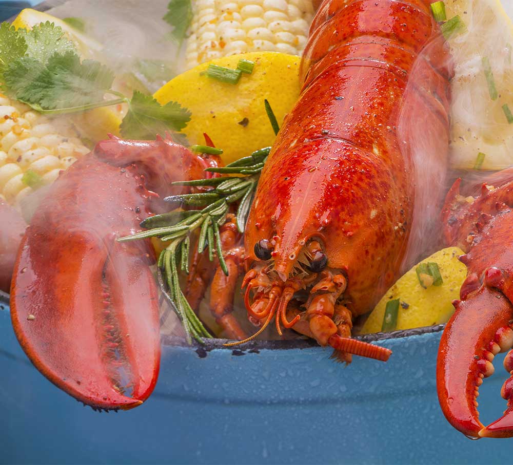 lobster